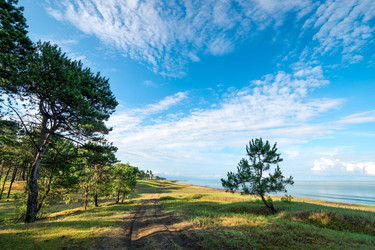 Similar image 22171598