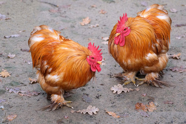 Similar image 22171820