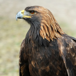 Similar image 22171822