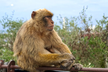 Similar image 22171824