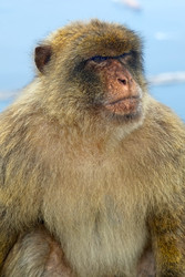 Similar image 22171825