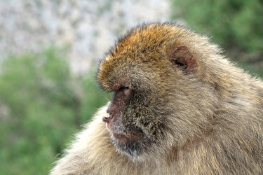 Similar image 22171827