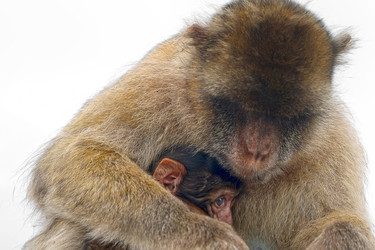 Similar image 22171829