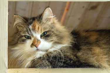 Similar image 22171831