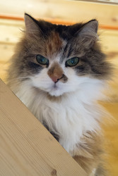 Similar image 22171834