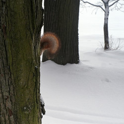 Similar image 22171839