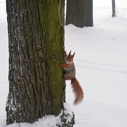 Similar image 22171843