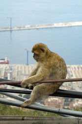 Similar image 22171845