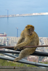 Similar image 22171846