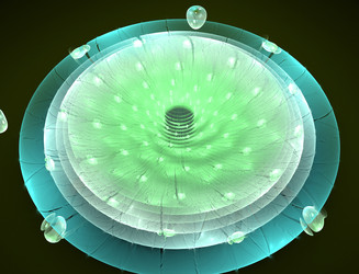 Similar image 22177215