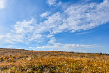 Similar image 22171367