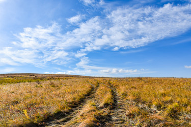 Similar image 22171368