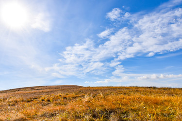 Similar image 22171369