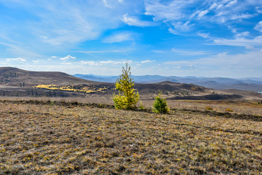 Similar image 22171372