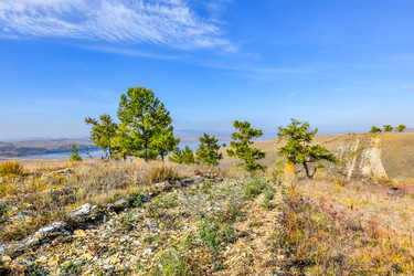 Similar image 22171374