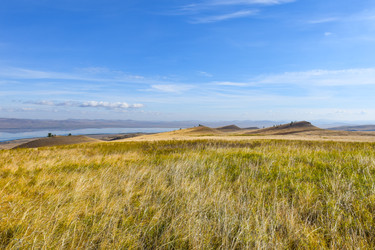 Similar image 22171376