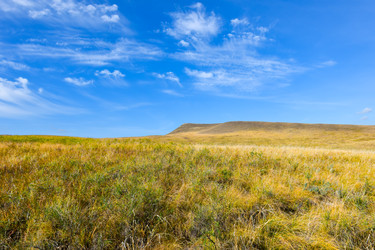 Similar image 22171377