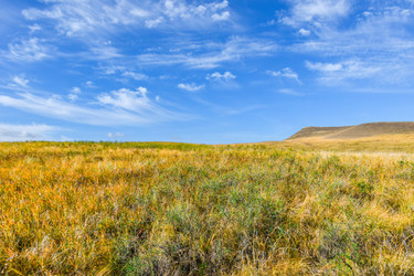 Similar image 22171378