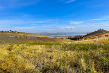 Similar image 22171383