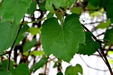 Similar image 22172031