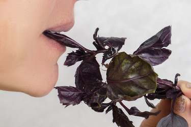 Similar image 22176285