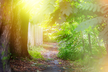 Similar image 22176298