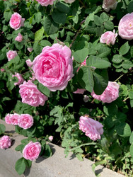 Similar image 22172622