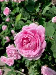 Similar image 22172623