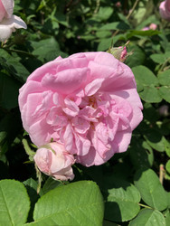 Similar image 22175919