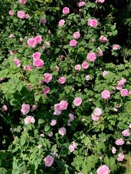 Similar image 22175920