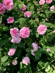 Similar image 22175921