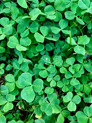 Similar image 22172624