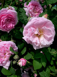 Similar image 22172626