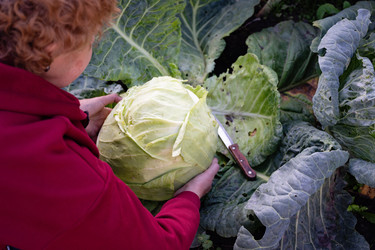 Similar image 22174268