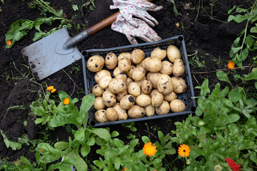 Similar image 22174269