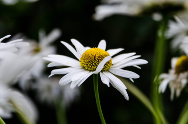 Similar image 22172045