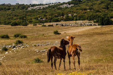 Similar image 22172046