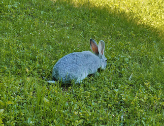 Similar image 22171438