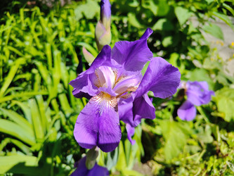 Similar image 22171442