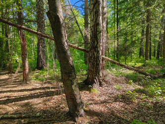 Similar image 22171443