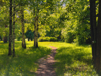 Similar image 22171444