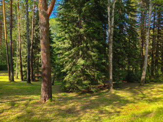 Similar image 22171446