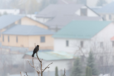 Similar image 22172047