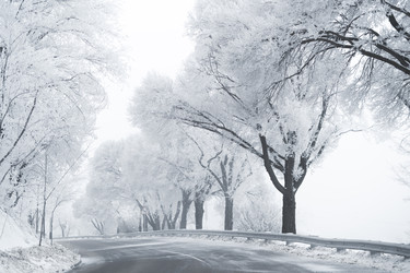 Similar image 22172049