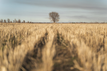 Similar image 22172052