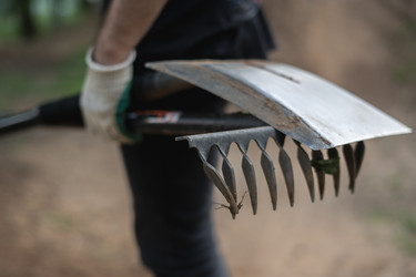 Similar image 22172058