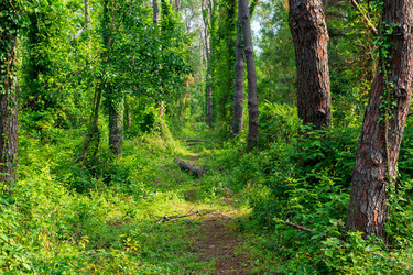 Similar image 22171653