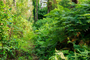 Similar image 22171657