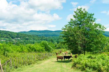 Similar image 22171674