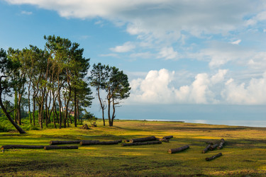 Similar image 22171676